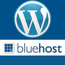 Bluehost Icon