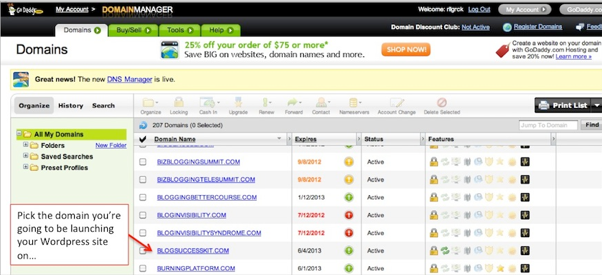 How to Setup Domains from GoDaddy to Bluehost Hosting