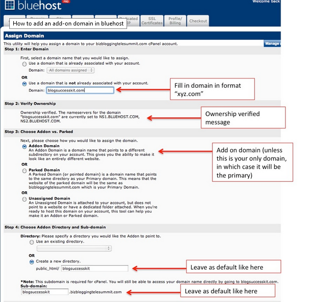 How to Setup Domains from GoDaddy to Bluehost Hosting