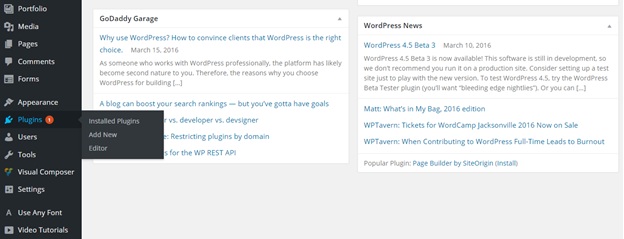 Installing or Updating Plugins in WordPress4