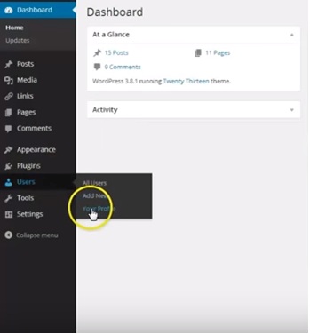 Resetting your WordPress Admin Password 