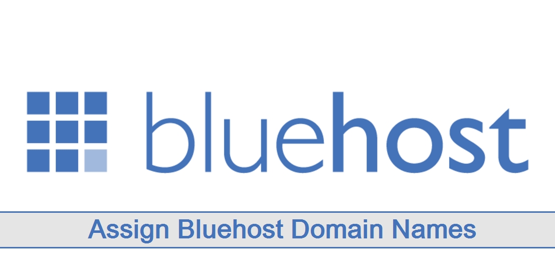 Assign Bluehost Domain Names