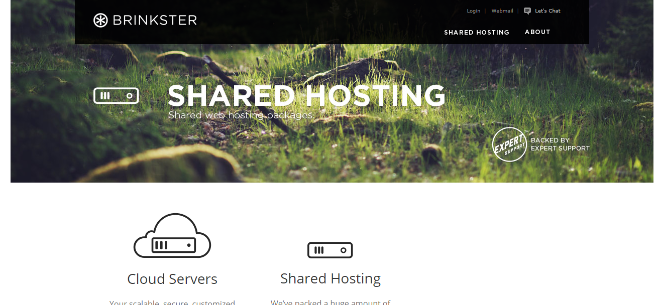 Brinkster Homepage